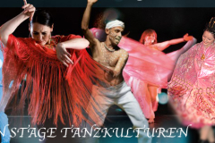 tanzkulturen-709x3101-1